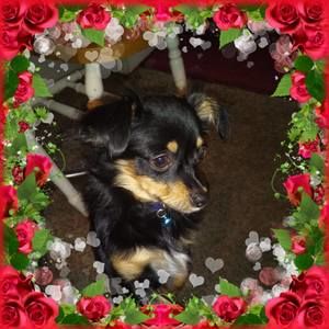 Meet your Posher, Edith